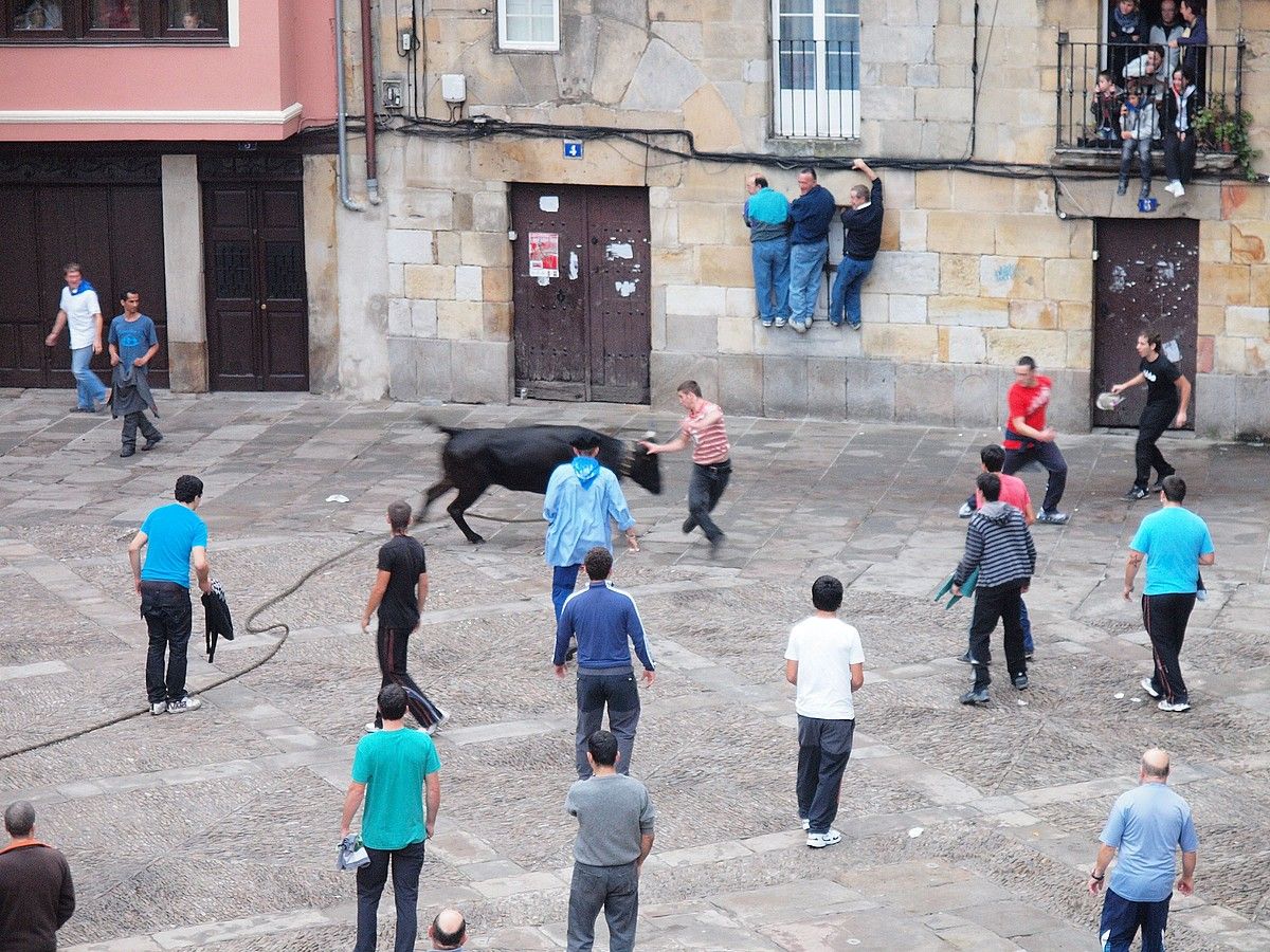 Bigantxek tradizio handia dute Durangoko festetan. BERRIA.