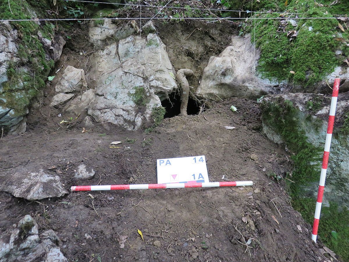 Praileiatz I leizeko sarbide aurkitu berria. ARANZADI ZIENTZIA ELKARTEA.