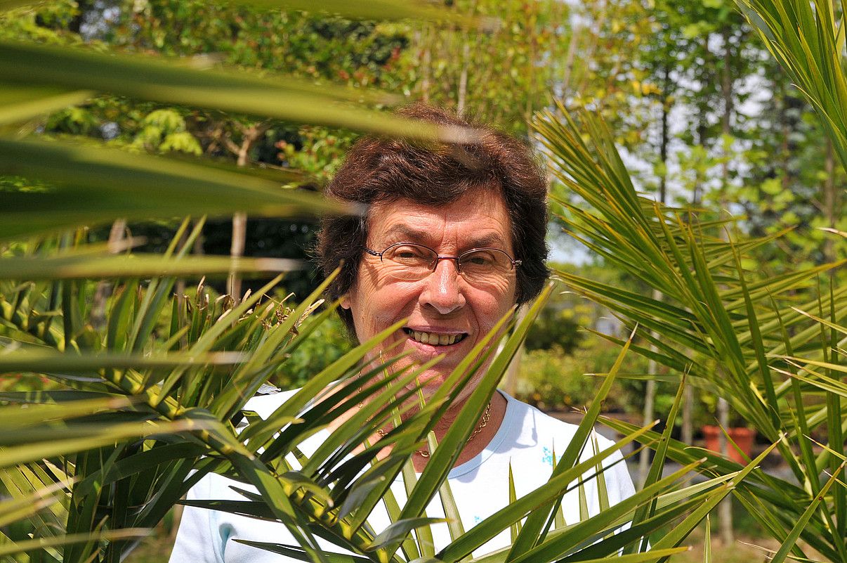 NICOLAS MOLLO. NICOLAS MOLLO.