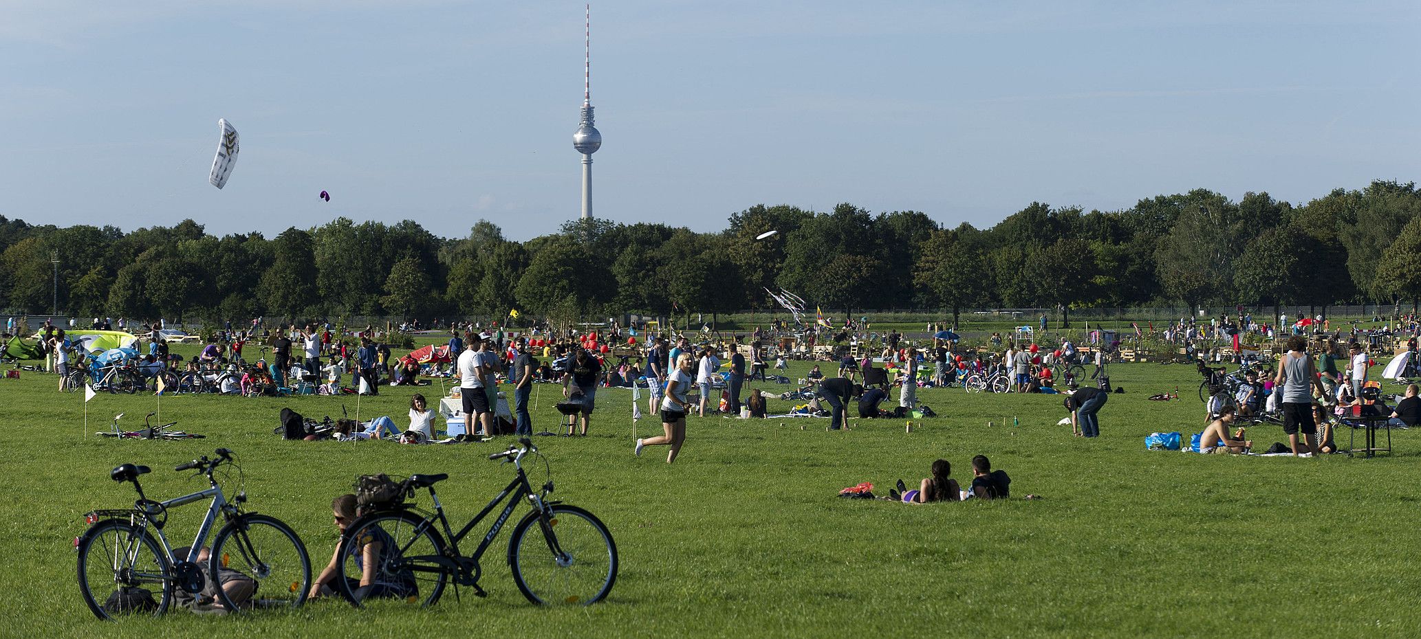 Eguraldia lagun, parkeetara jo ohi dute berlindarrek. Tempelhof aireportu zaharrera, adibidez. BERRIA. Eguraldia lagun, parkeetara jo ohi dute berlindarrek. Tempelhof aireportu zaharrera, adibidez. BERRIA.