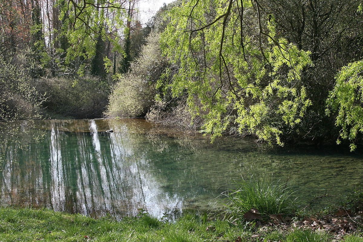 Arga ibaiaren ertzetako landaredian babesten dira ugaztun asko. IRUÑEKO UDALA.