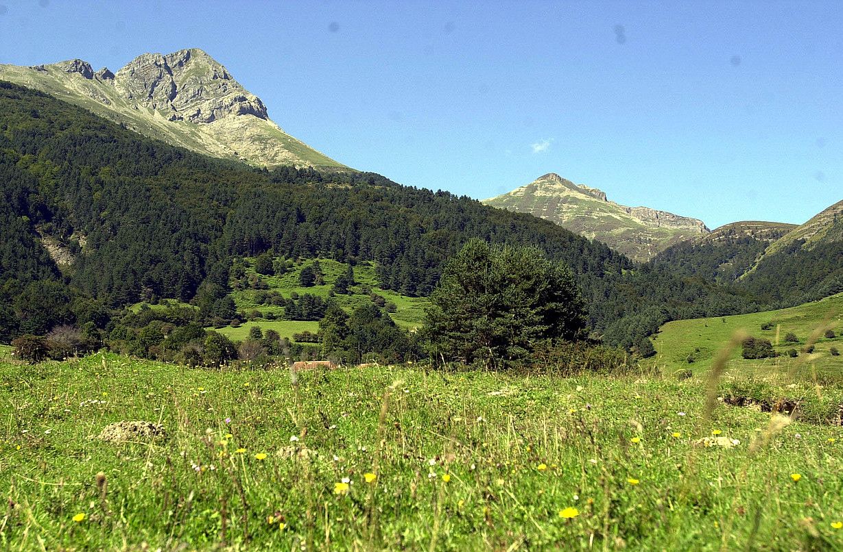 Pirinioetako paisaiaz gozatu nahi izaten dute bertako ibarretara joaten diren turistek. Argazkian, Izaba inguruko mendiak, Belaguara bidean. LANDER F. ARROIABE  / ARGAZKI PRESS.