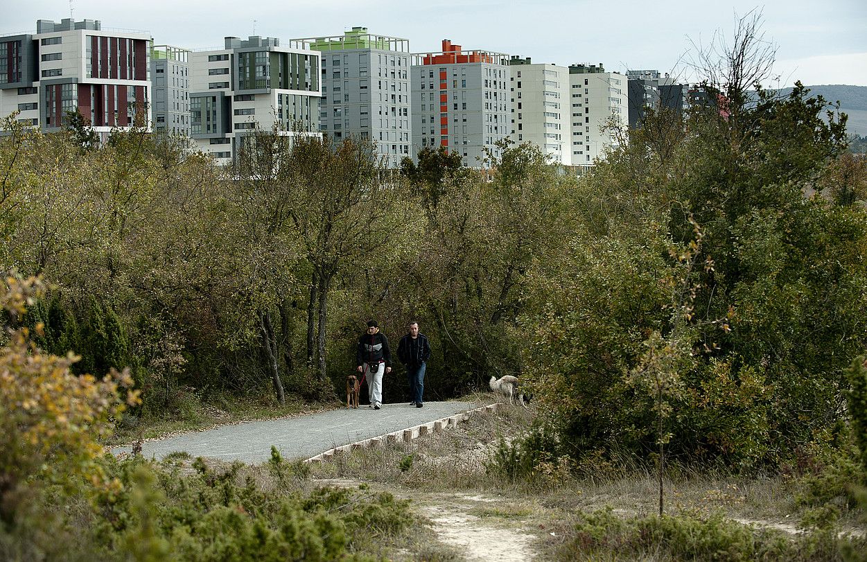 Eraztun Berdea paradisua da ibiltari, txirrindulari eta kirolarientzat. Irudian, Zabalganako basoa. RAUL BOGAJO / ARGAZKI PRESS.