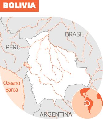Bolivia destolestuz. Bolivia destolestuz.