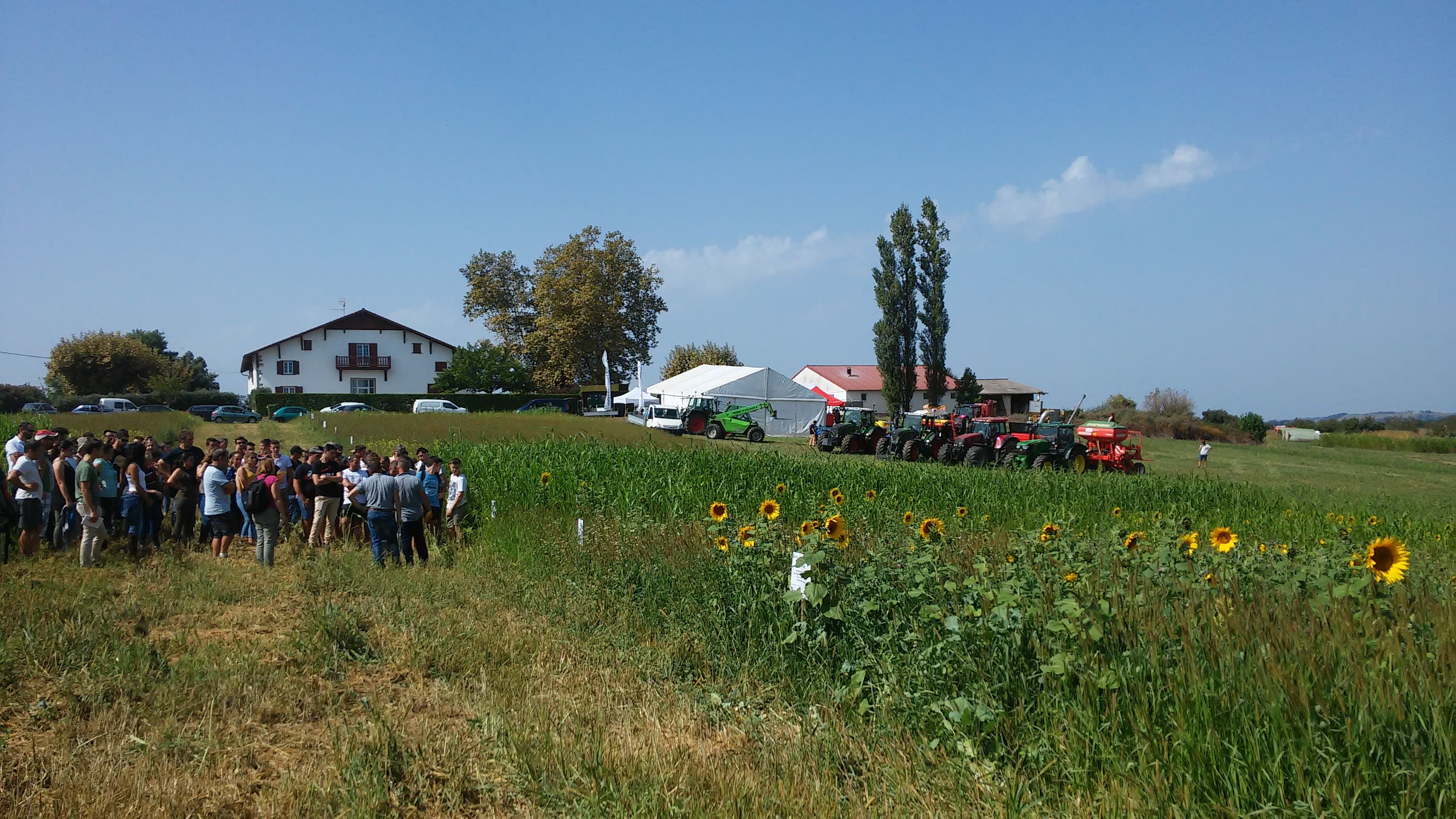 2019an Behaskanen, Alain Claverie laborariaren etxaldean, agroek