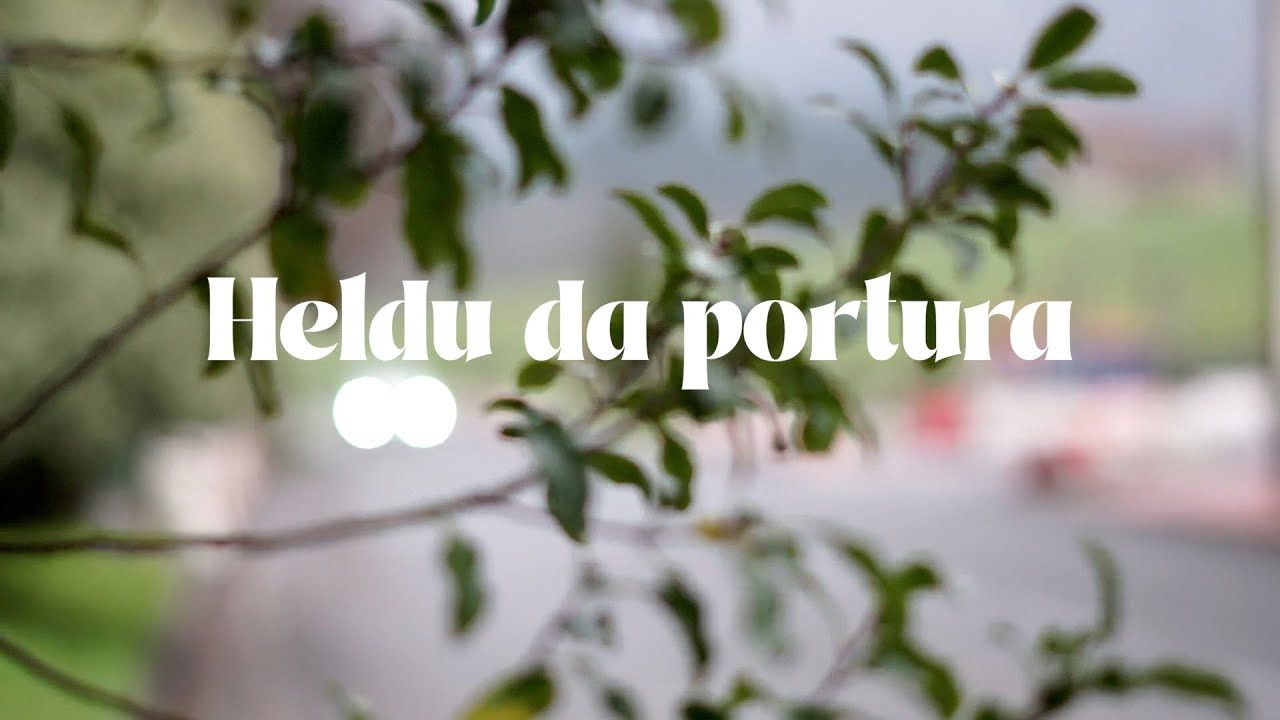 Heldu da portura