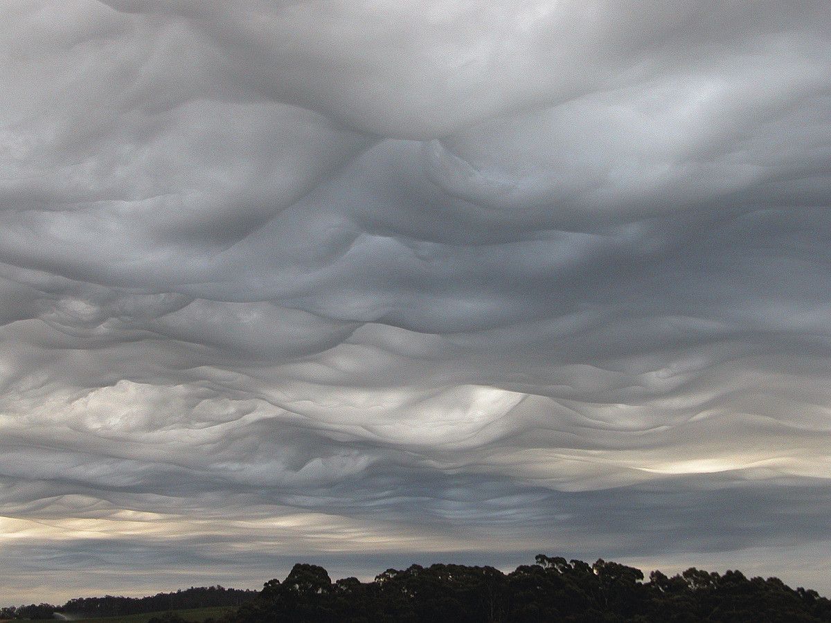 Nazioarteko Hodeien Atlasean publikatutako Asperitas generoko hodeiari ateratako argazki bat, Tasmaniako (Australia) uhartean. GARY MACARTHUR / EFE. Nazioarteko Hodeien Atlasean publikatutako Asperitas generoko hodeiari ateratako argazki bat, Tasmaniako (Australia) uhartean. GARY MACARTHUR / EFE.