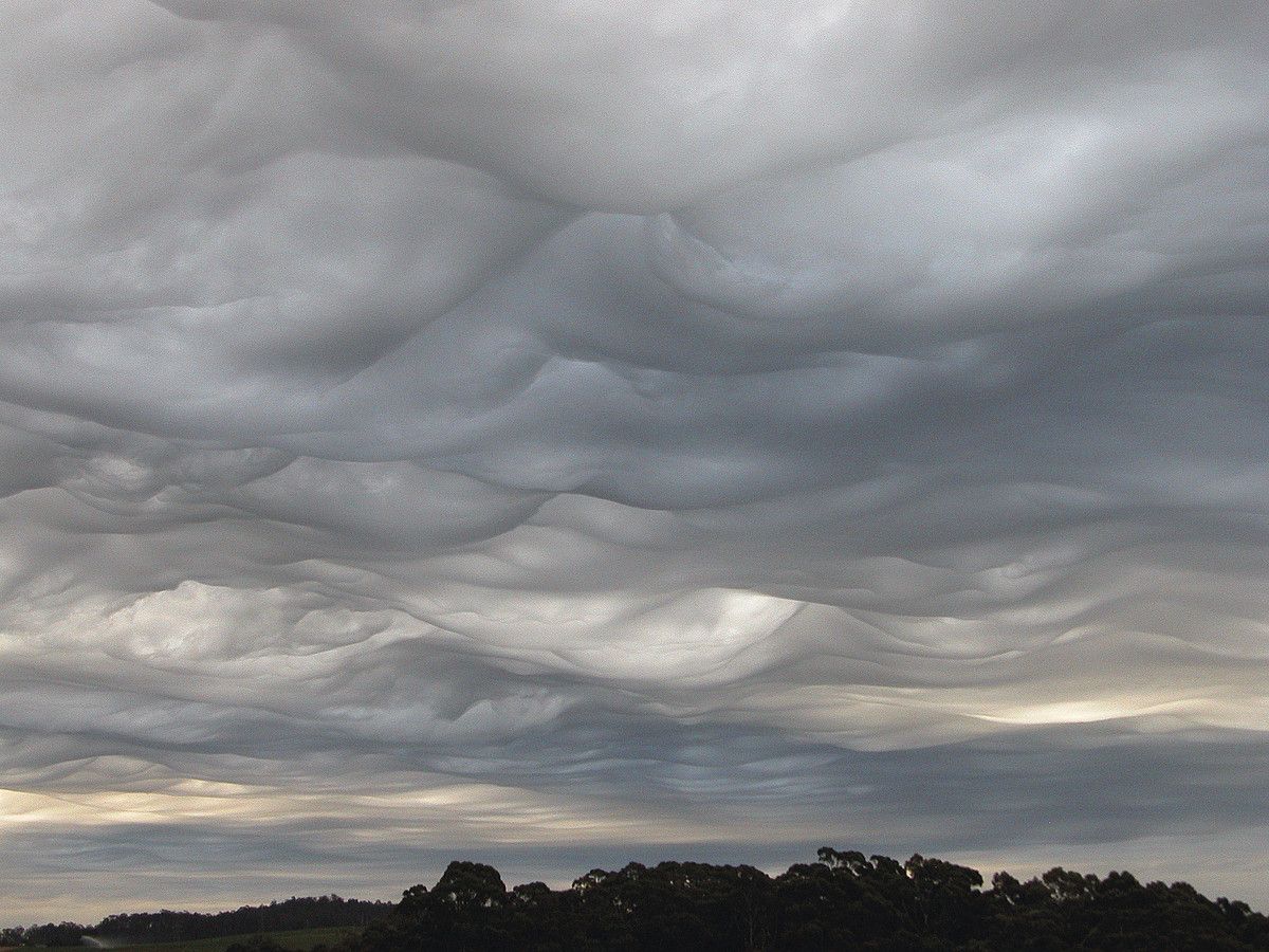 Nazioarteko Hodeien Atlasean publikatutako Asperitas generoko hodeiari ateratako argazki bat, Tasmaniako (Australia) uhartean. GARY MACARTHUR / EFE.