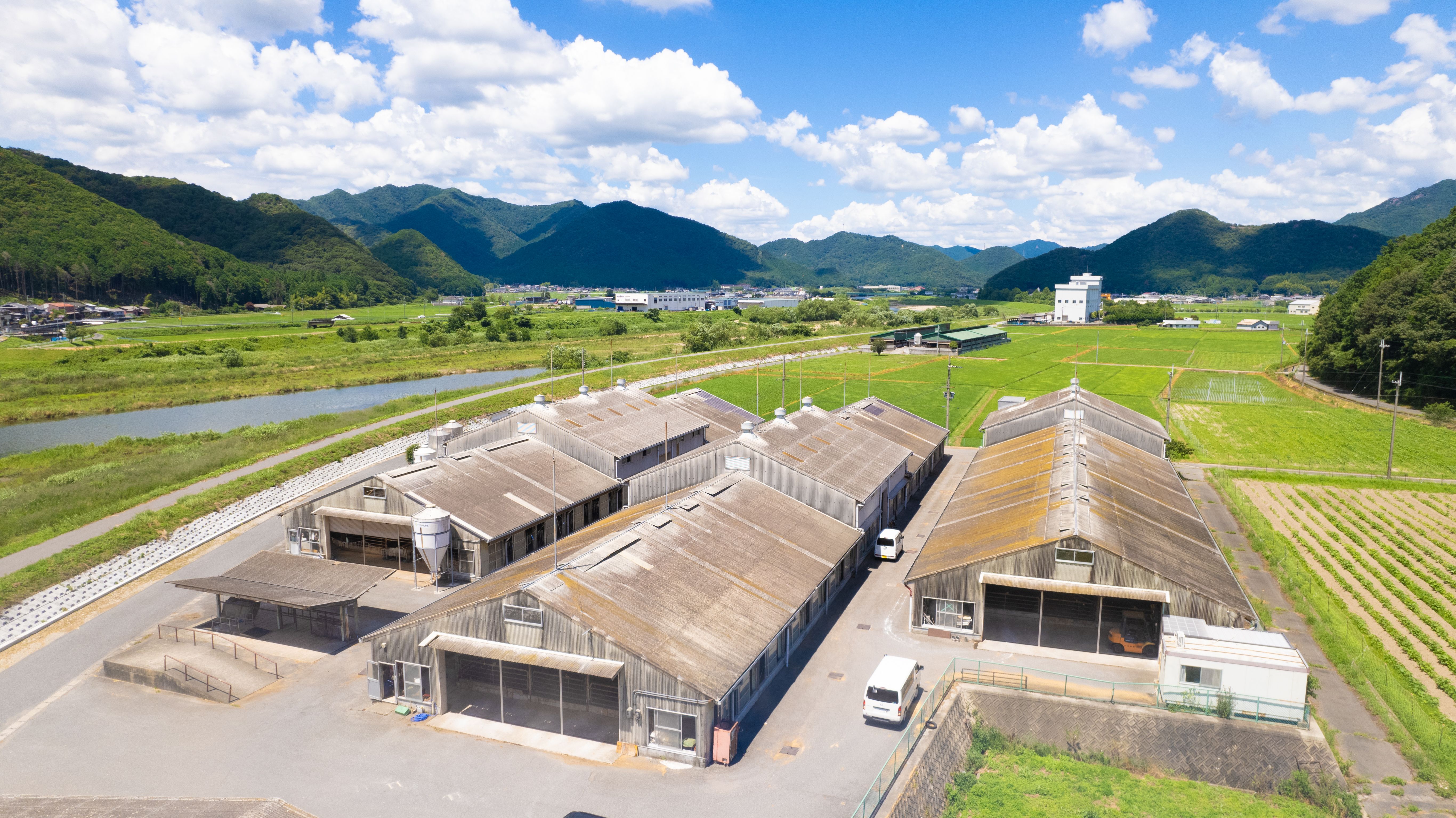 JAPONIA, KOBE HARAGIA