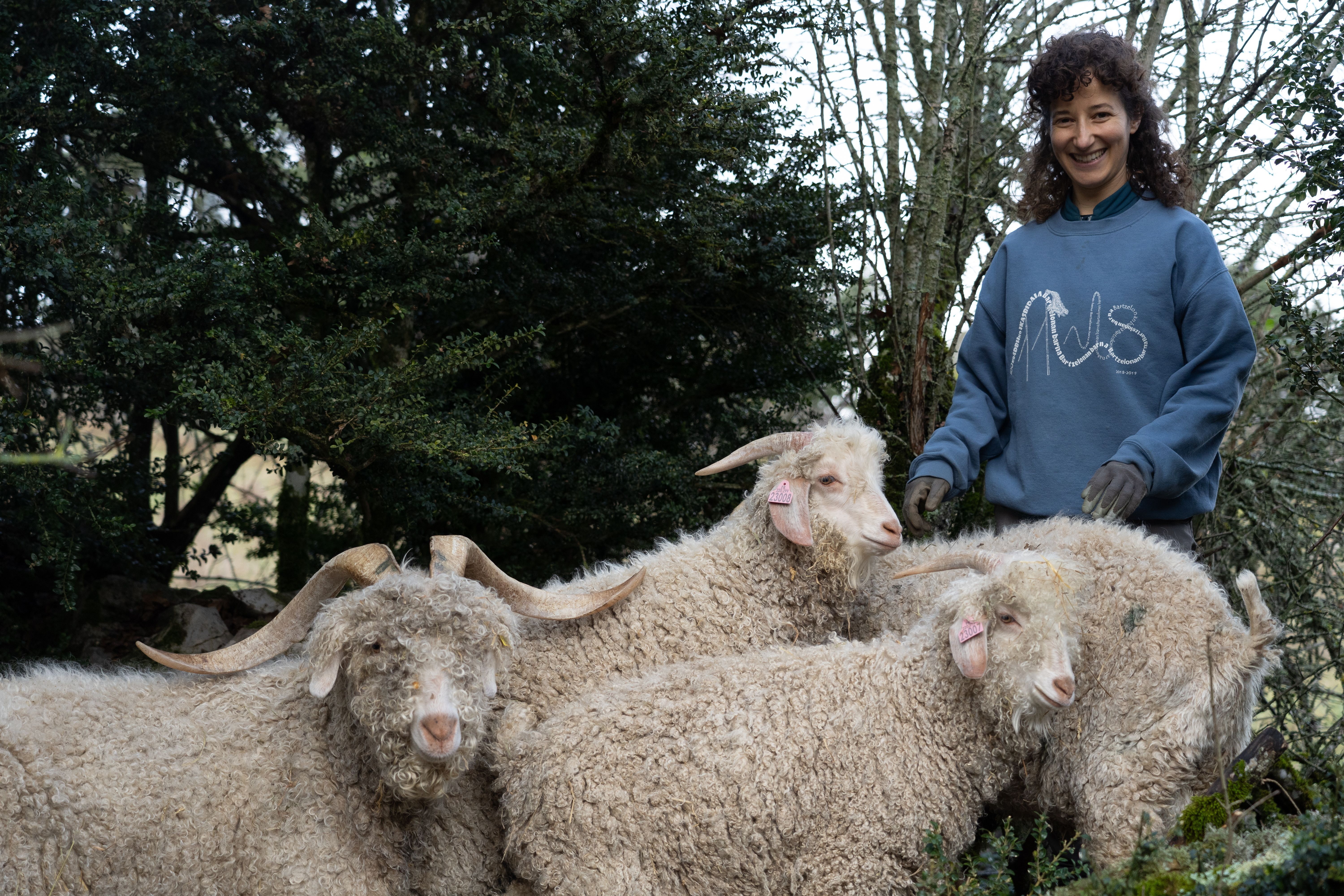 (ID_13446470) (Jagoba Manterola/@FOKU) 2023-12-22, Abaurregaina. Areta Loreak ehungintza etikoa lantzen du angora ahuntzak oinarri