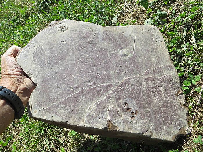 Basagaingo herrixka gotortuan aurkitutako pieza, Anoetan (Gipuzkoa). GIPUZKOAKO FORU ALDUNDIA