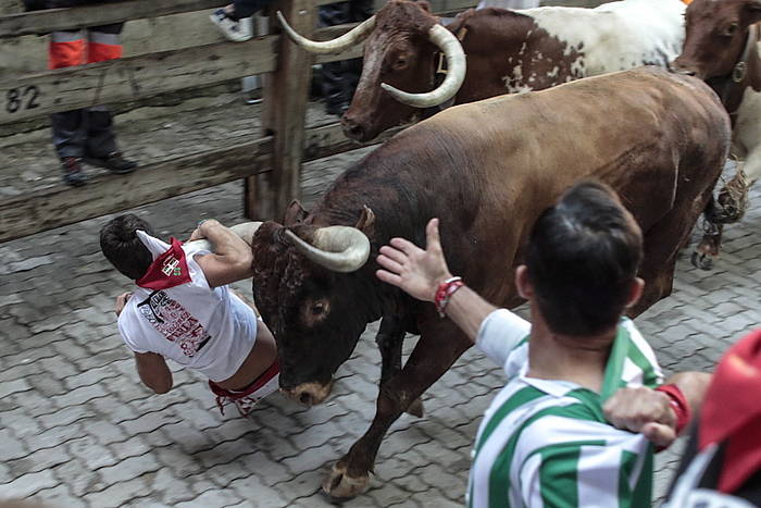 Iruñeko zezen plazara sartu aurreko tartean, zezenetako batek arrastaka eraman du korrikalari bat, adarrarekin kasmisetatik eta zapi gorritik helduta. JAGOBA MANTEROLA, FOKU