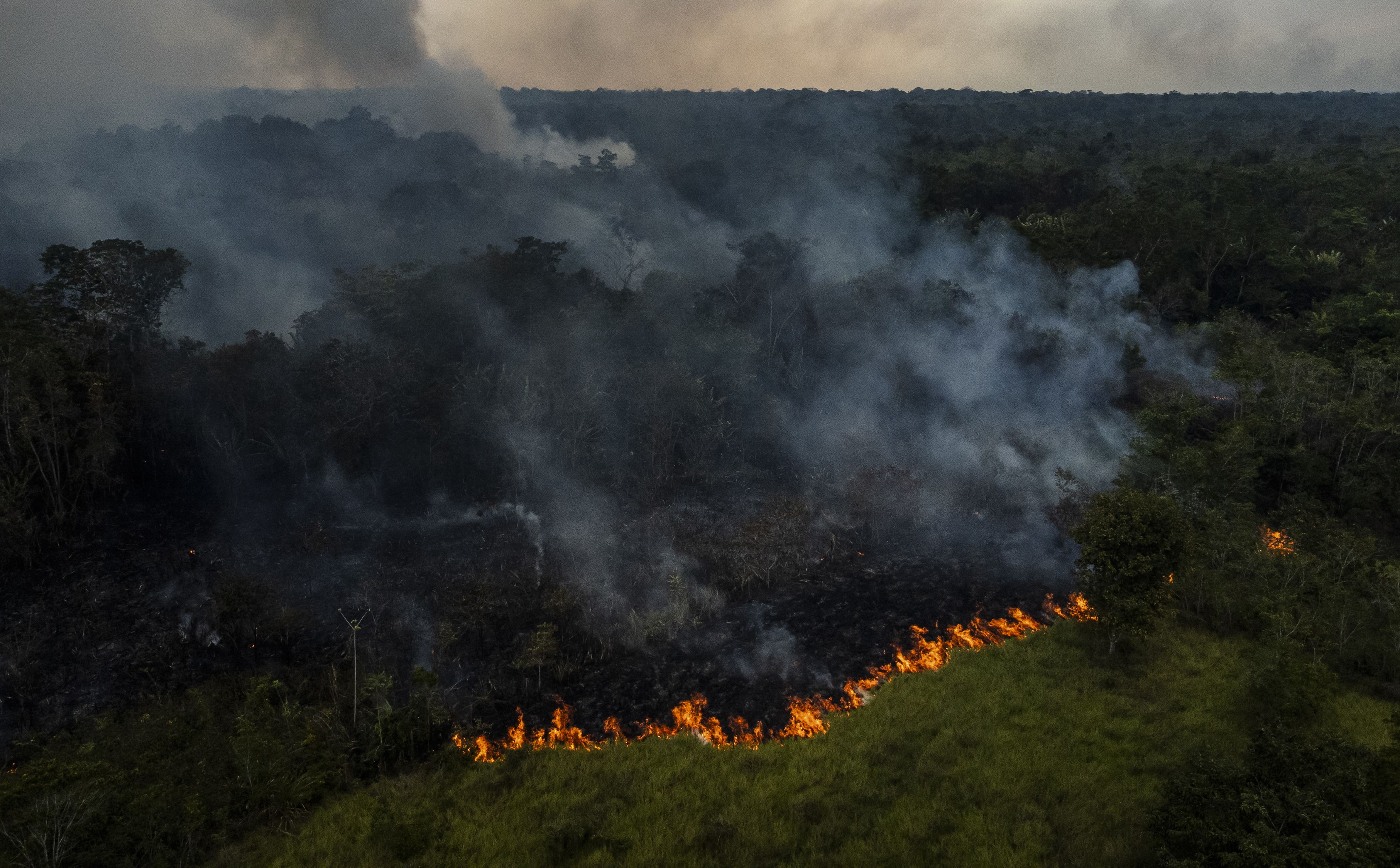 (ID_13156751) BRASIL AMAZONÍA