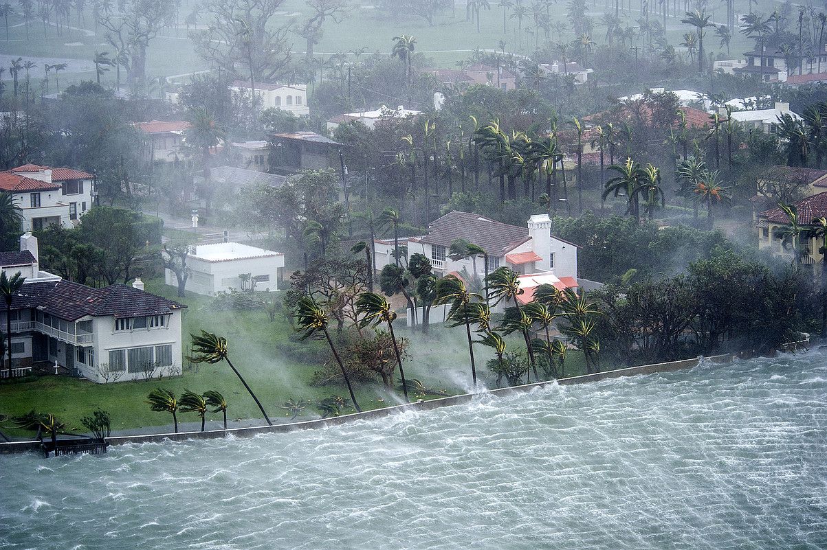 Haizetea itsasoa harrotzen eta zuhaitzak astintzen, atzo, Miami Beachen (AEB). GIORGIO VIERA / EFE. Haizetea itsasoa harrotzen eta zuhaitzak astintzen, atzo, Miami Beachen (AEB). GIORGIO VIERA / EFE.