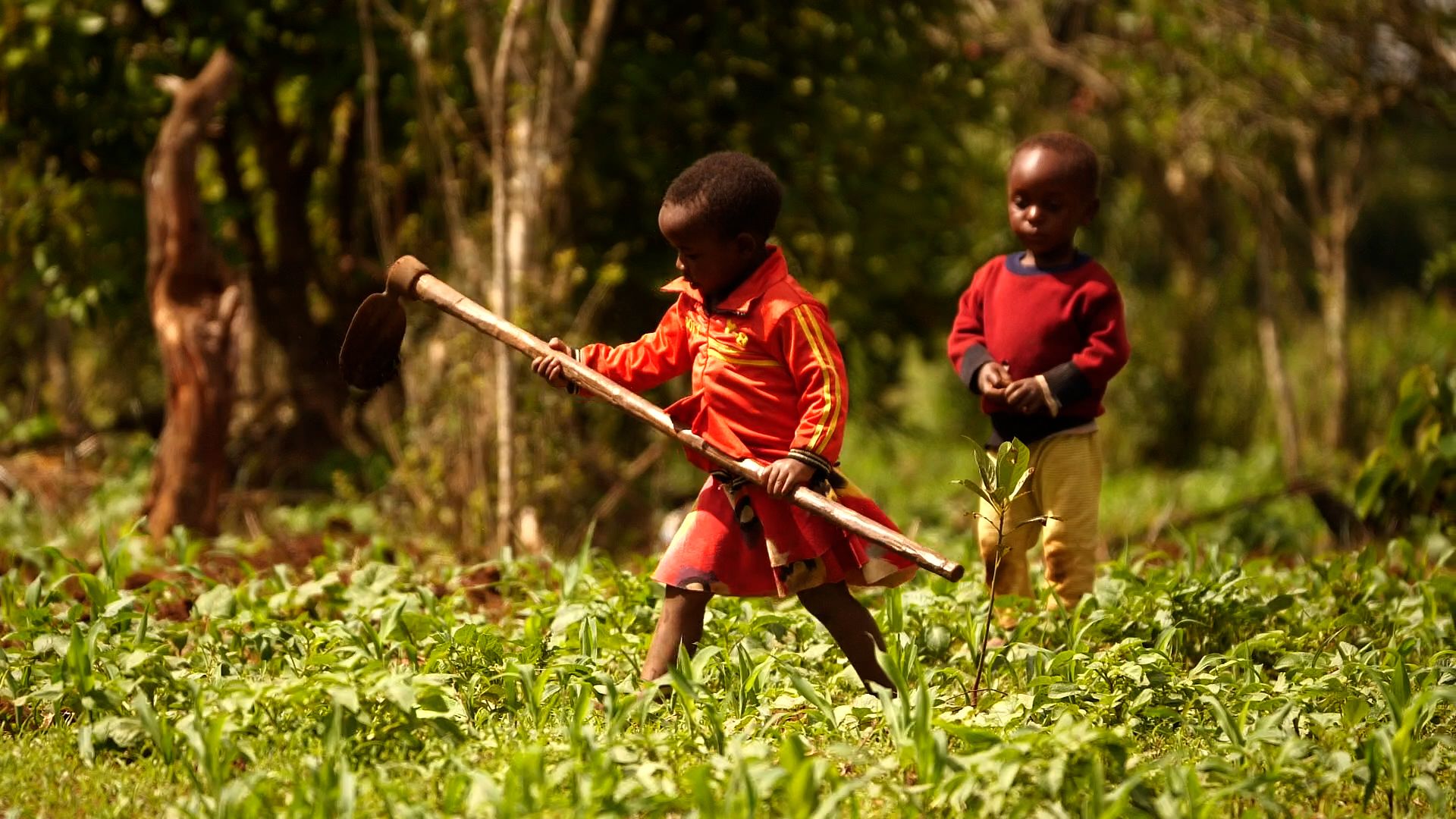 Tanzania. Nekazariak.