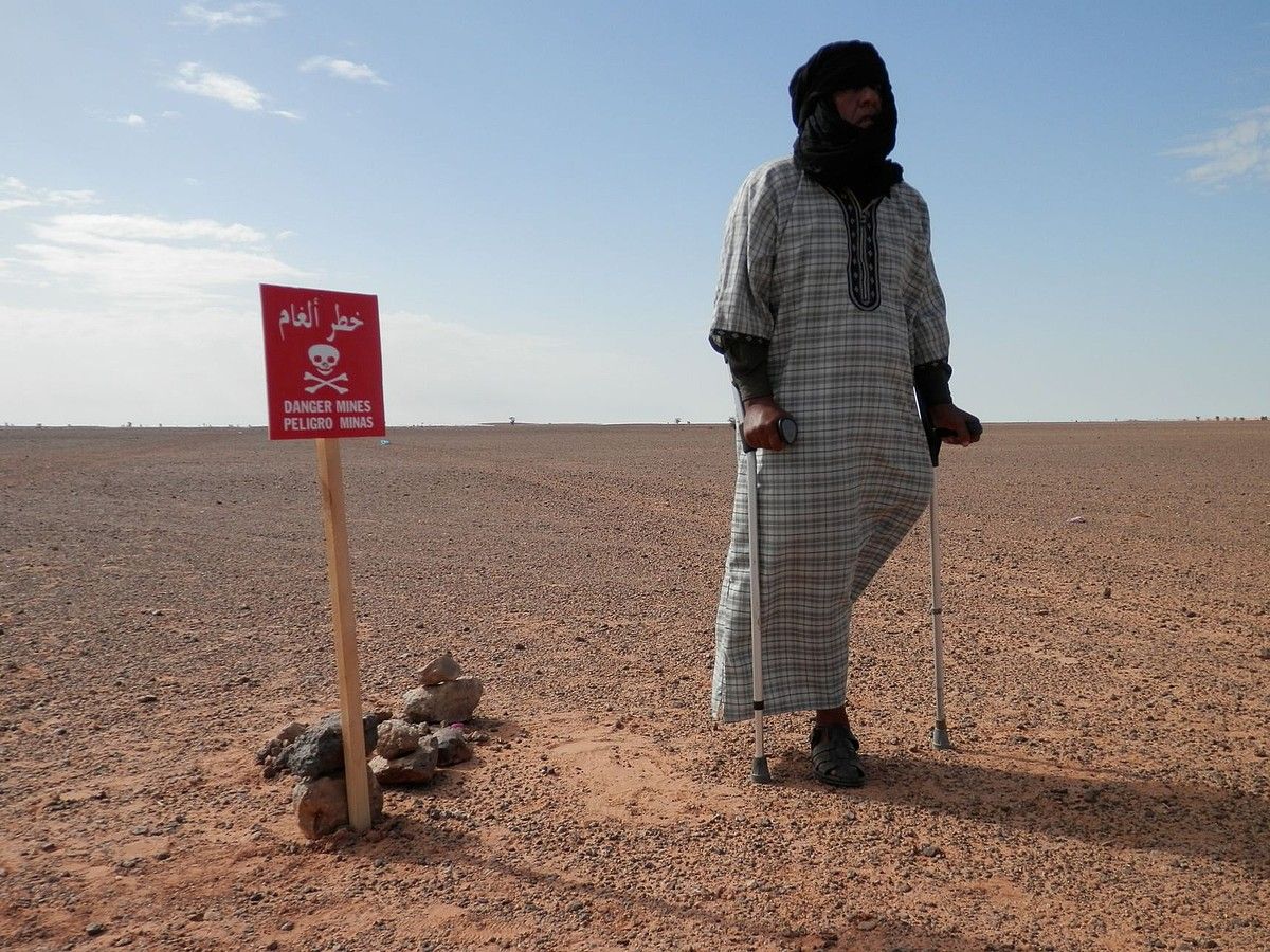 Mendebaldeko Saharan dauden mina mota ezberdinak. DALES VOZ A LAS VICTIMAS.