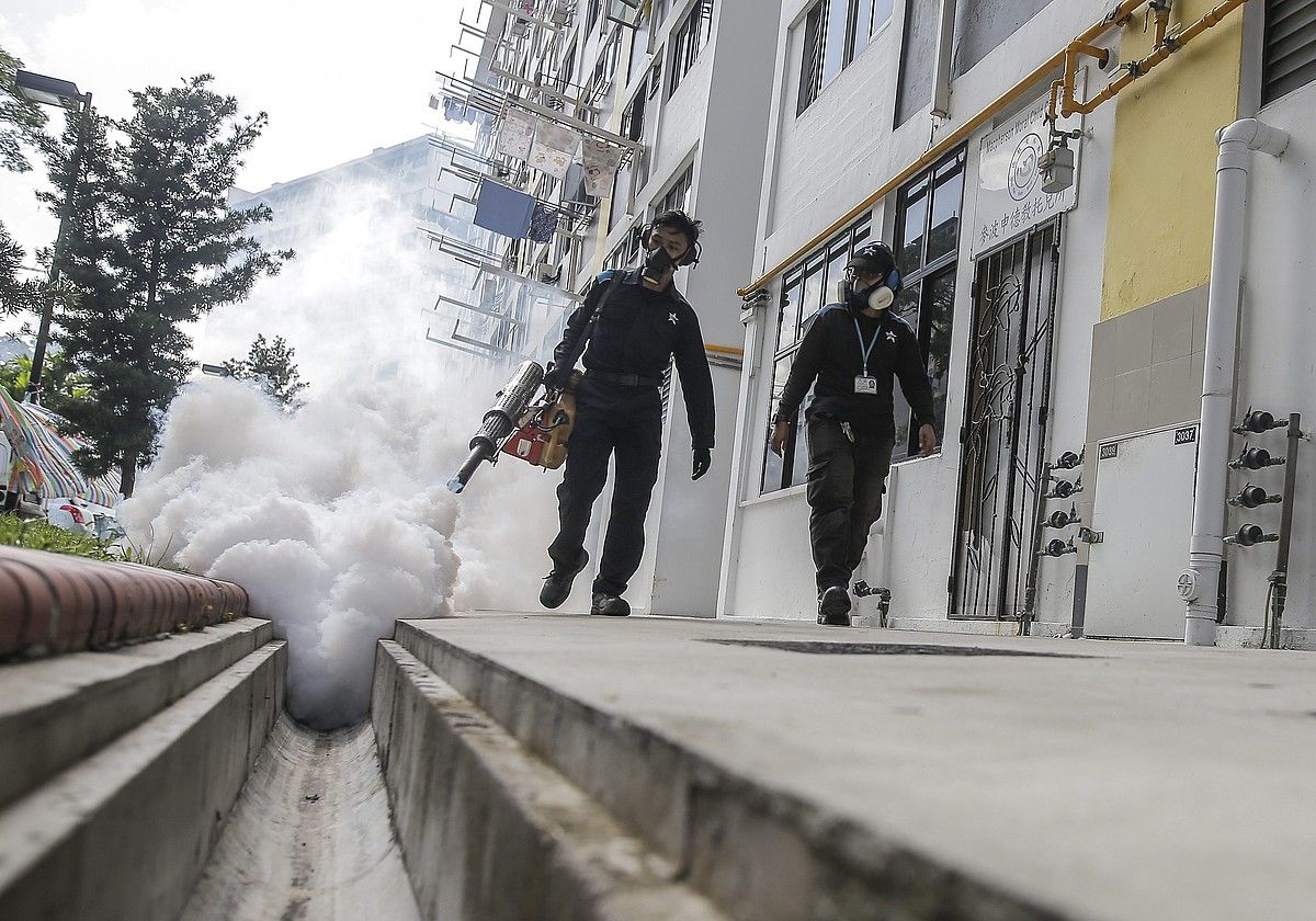 Singapurren, inguruak fumigatzen, Zika birusa ez zabaltzeko. WALLACE WOON / EFE.