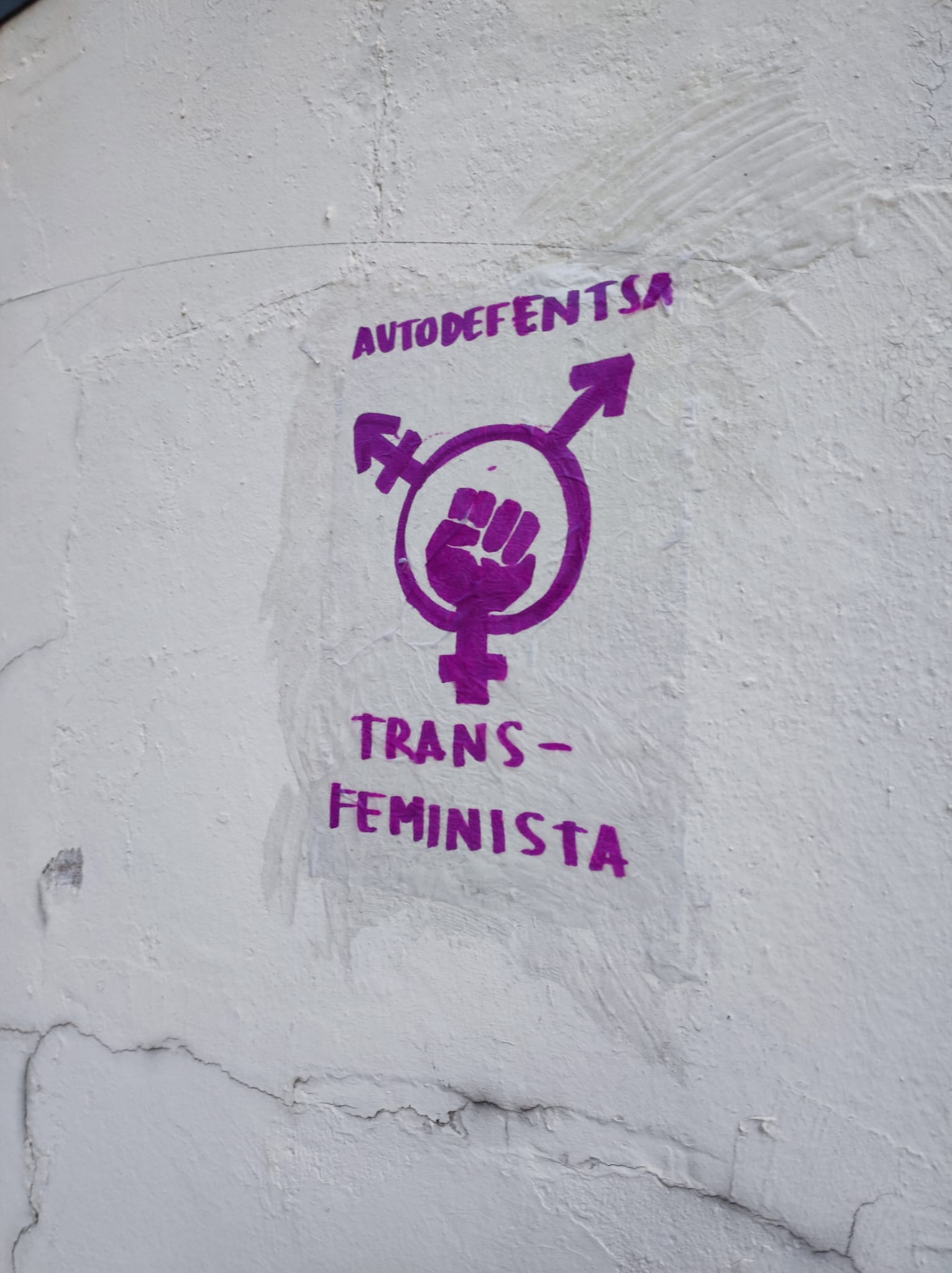 Pintaketa feminista Baionan.