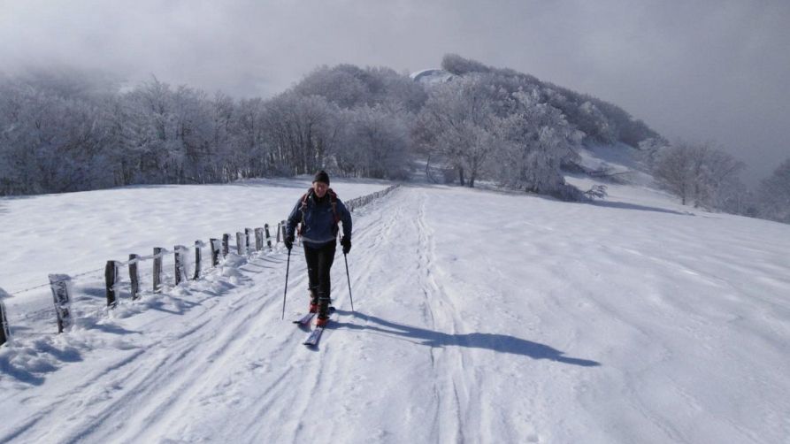 Adi eta Iturrunburu artean. I. Petxarroman. Adi eta Iturrunburu artean. I. PETXARROMAN.