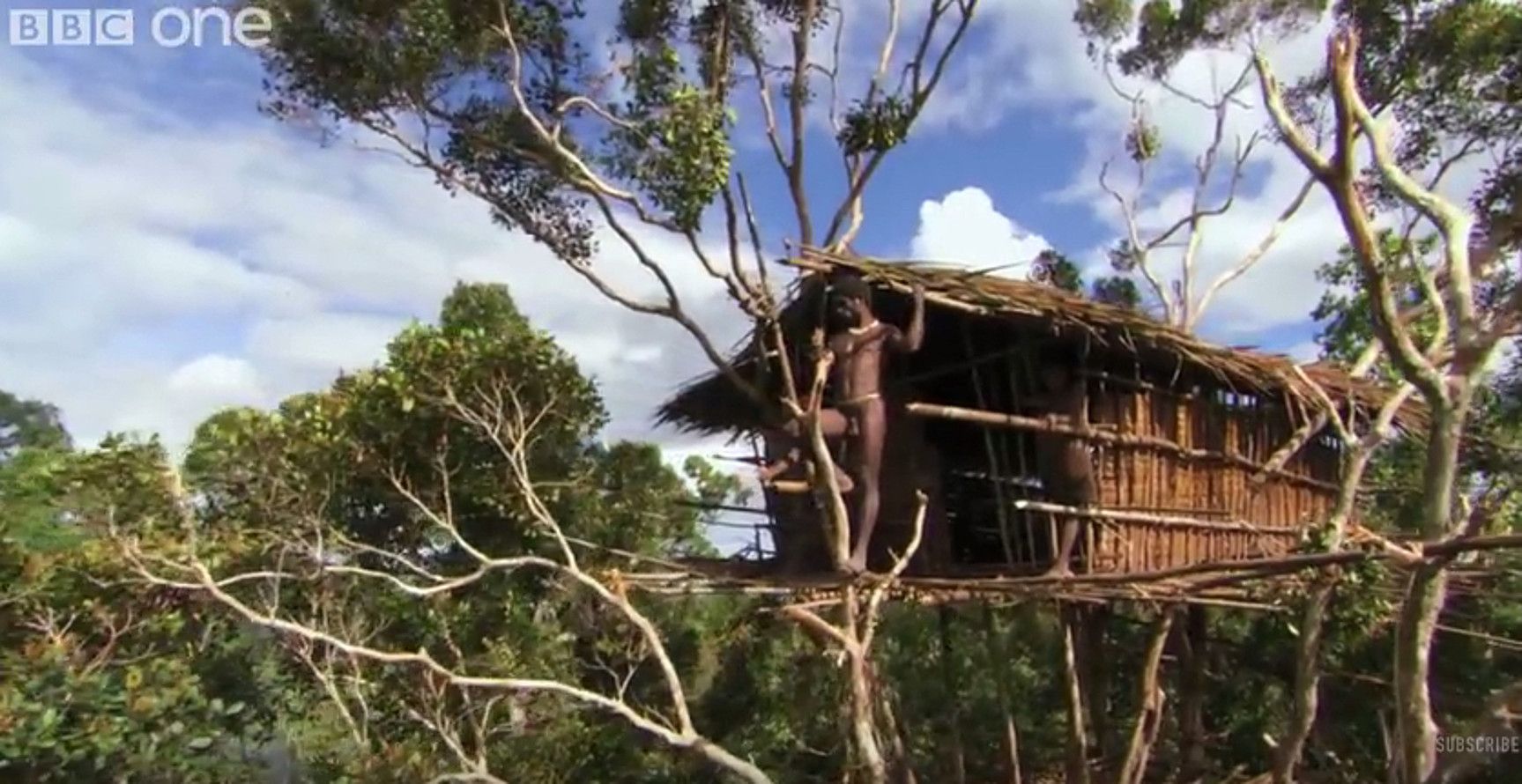 Papua Ginea Berriko tribu bat zuhaitzen goienean bizi zela filmatu zuten BBCn, baina faltsua zen. BERRIA.
