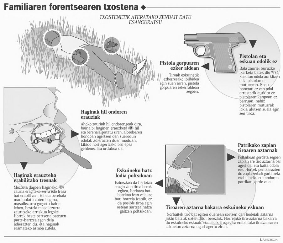 Jose Luis Gerestaren hilketaren infoa