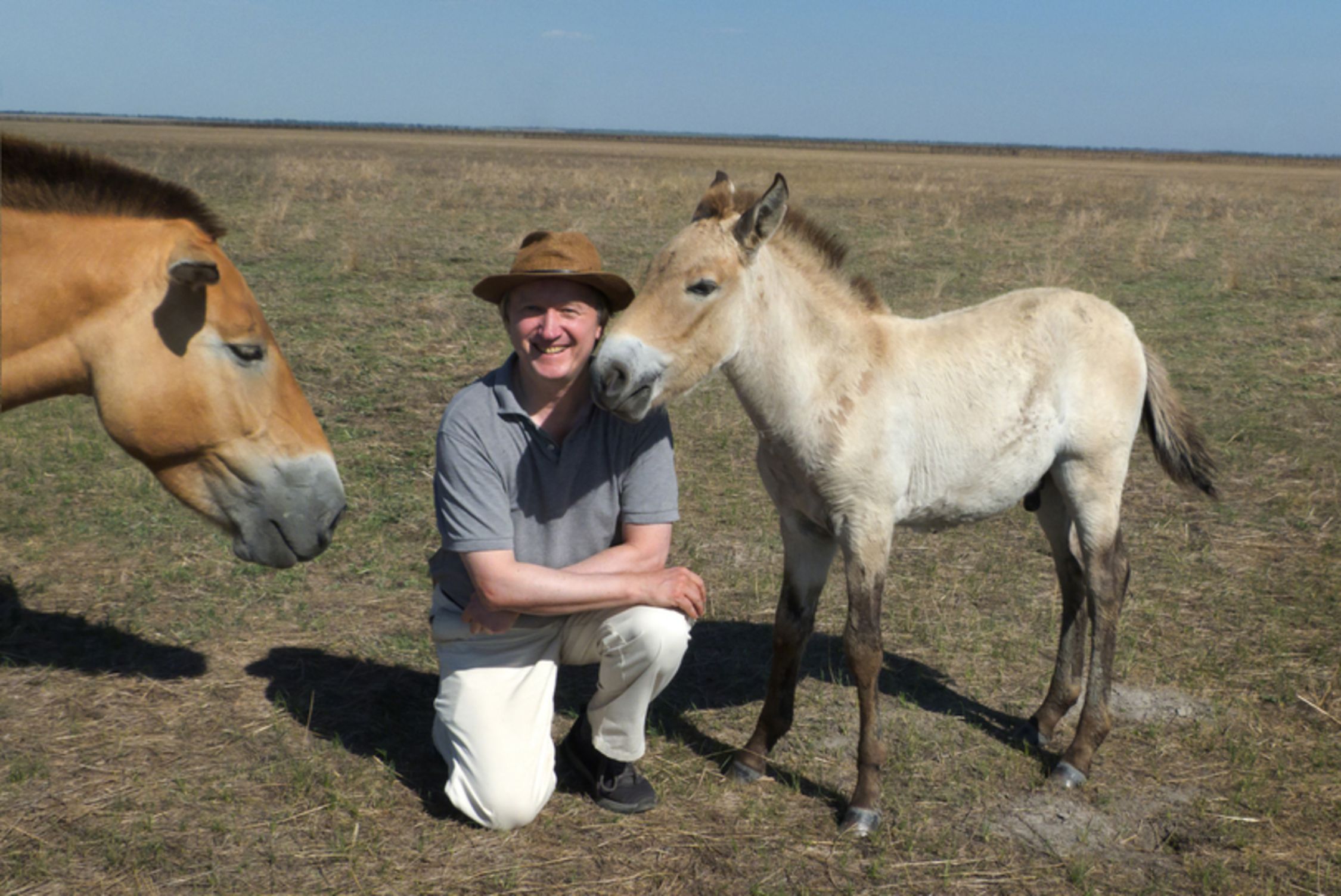 Stefan Schomann kazetari eta idazle alemaniarra, przewalski arrazako zaldiekin batera. STEFAN SCHOMANN