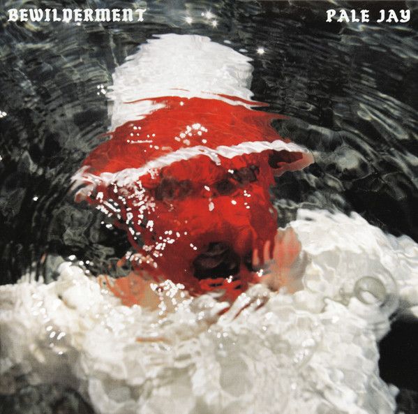 Pale Jay / 'Bewilderment'