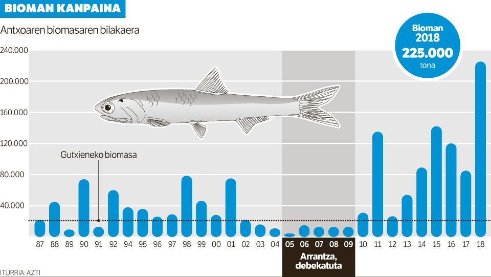 Antxoa populazioa azken 30 urteetako onenean dago Bizkaiko golkoko uretan.