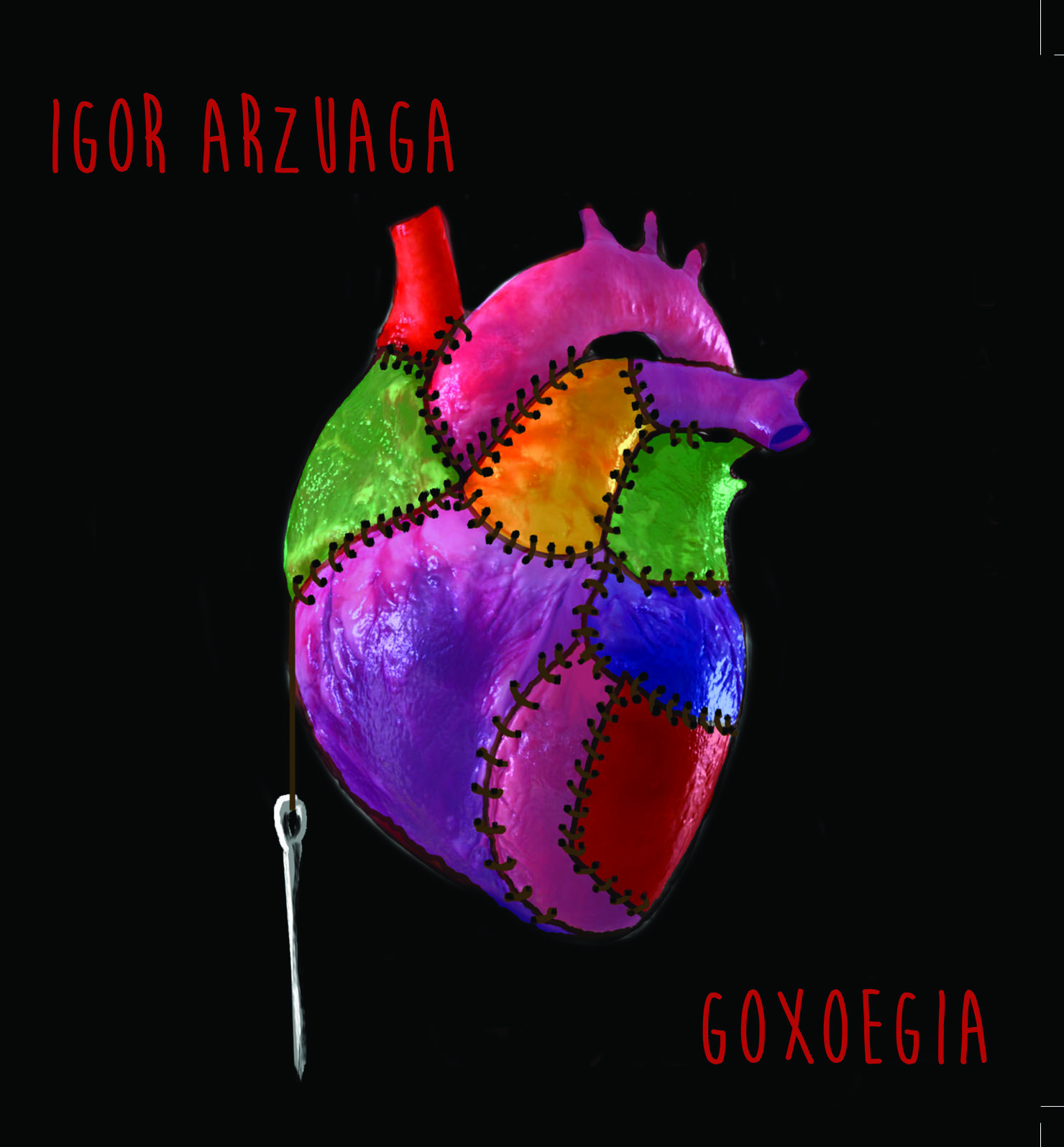 Igor Arzuagaren 'Goxoegia' diskoaren azala.