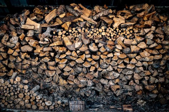 Egurra, Aezkoan. Basoek anitzez gehiago ematen dutela nabarmendu dute Foresna-Zurgaiak egindako jardunaldian. AITOR KARASATORRE / FOKU