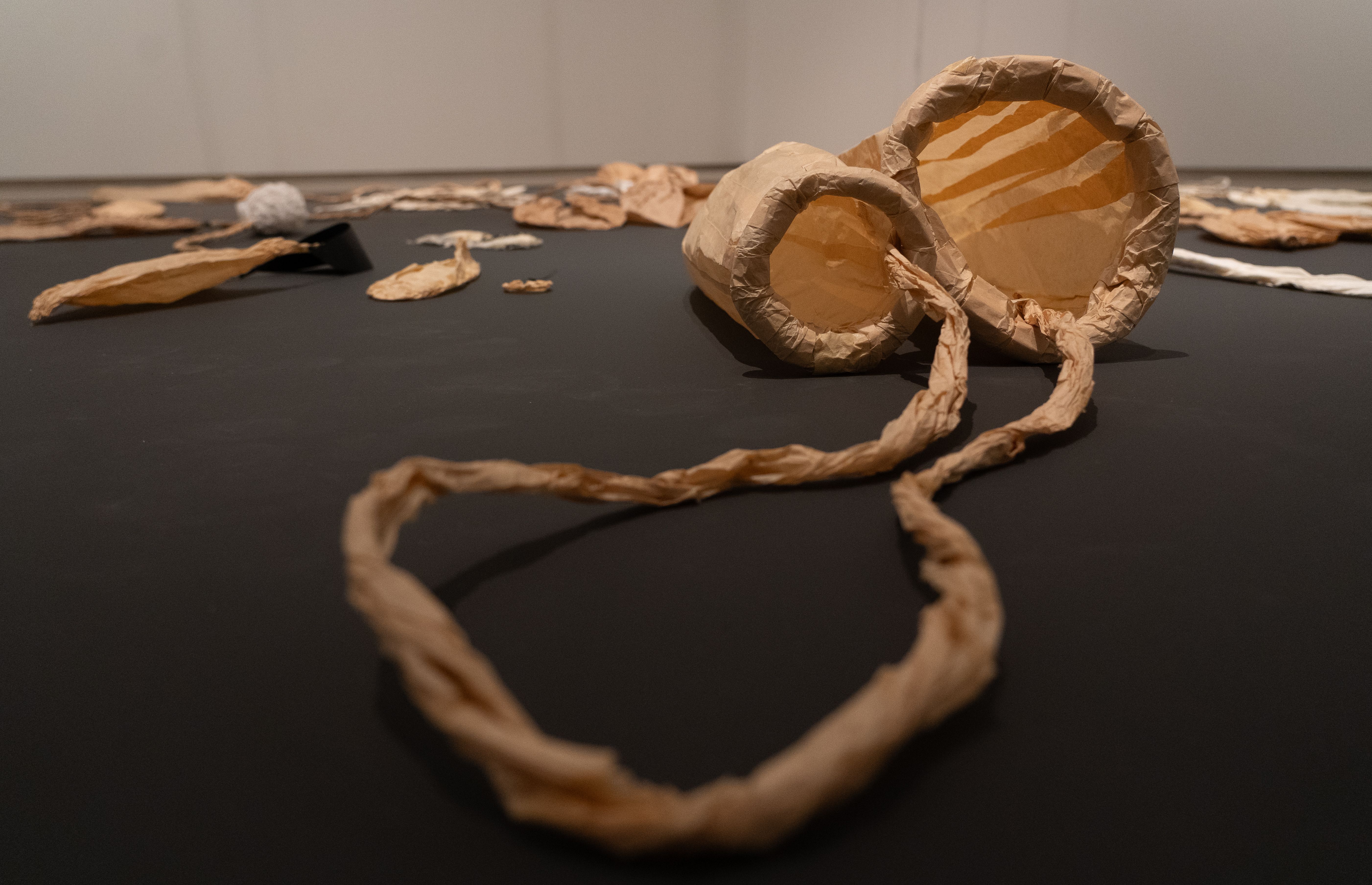 Eva Lootz artistaren 'Korapilatu, zimurtu eta hariari jarraitu' erakusketako irudia