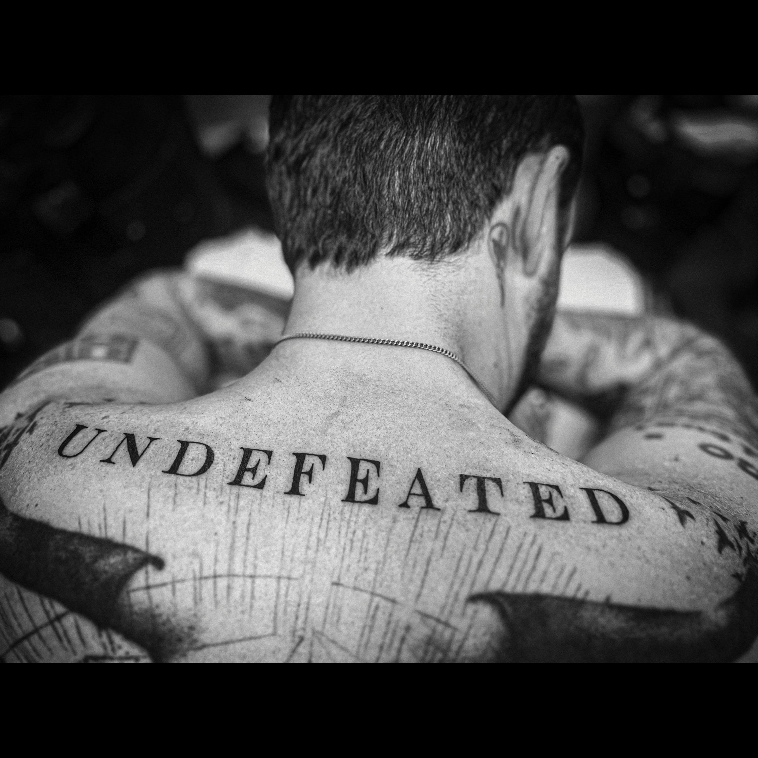 Frank Turner / 'Undefeated'