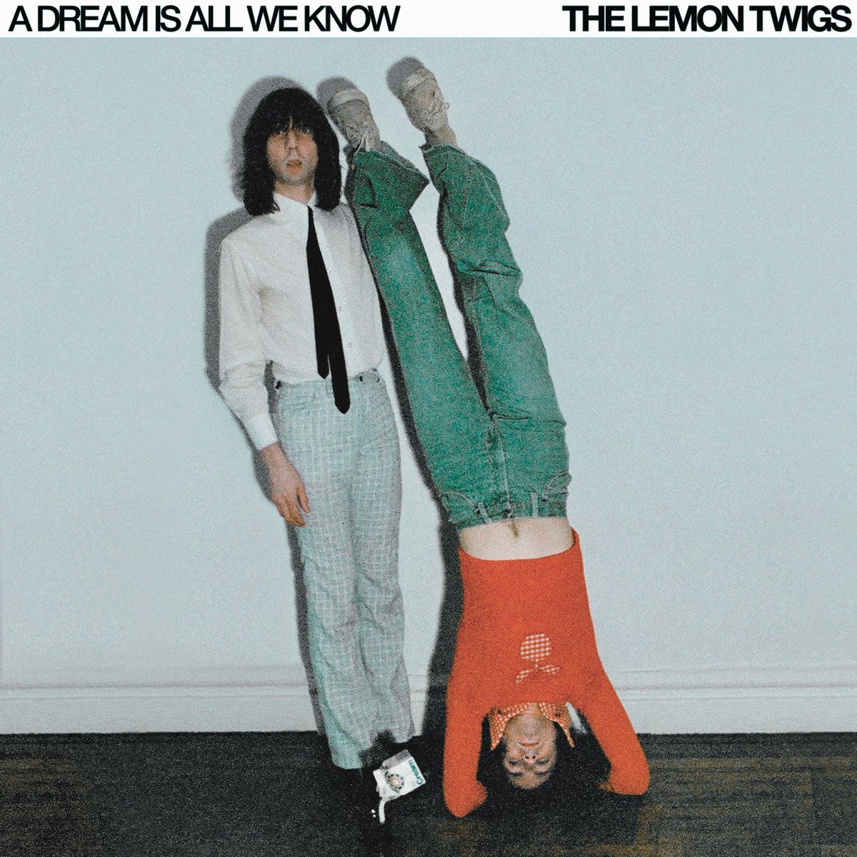 The Lemon Twigsen 'A Dream Is All We Know' diskoaren azala. BERRIA