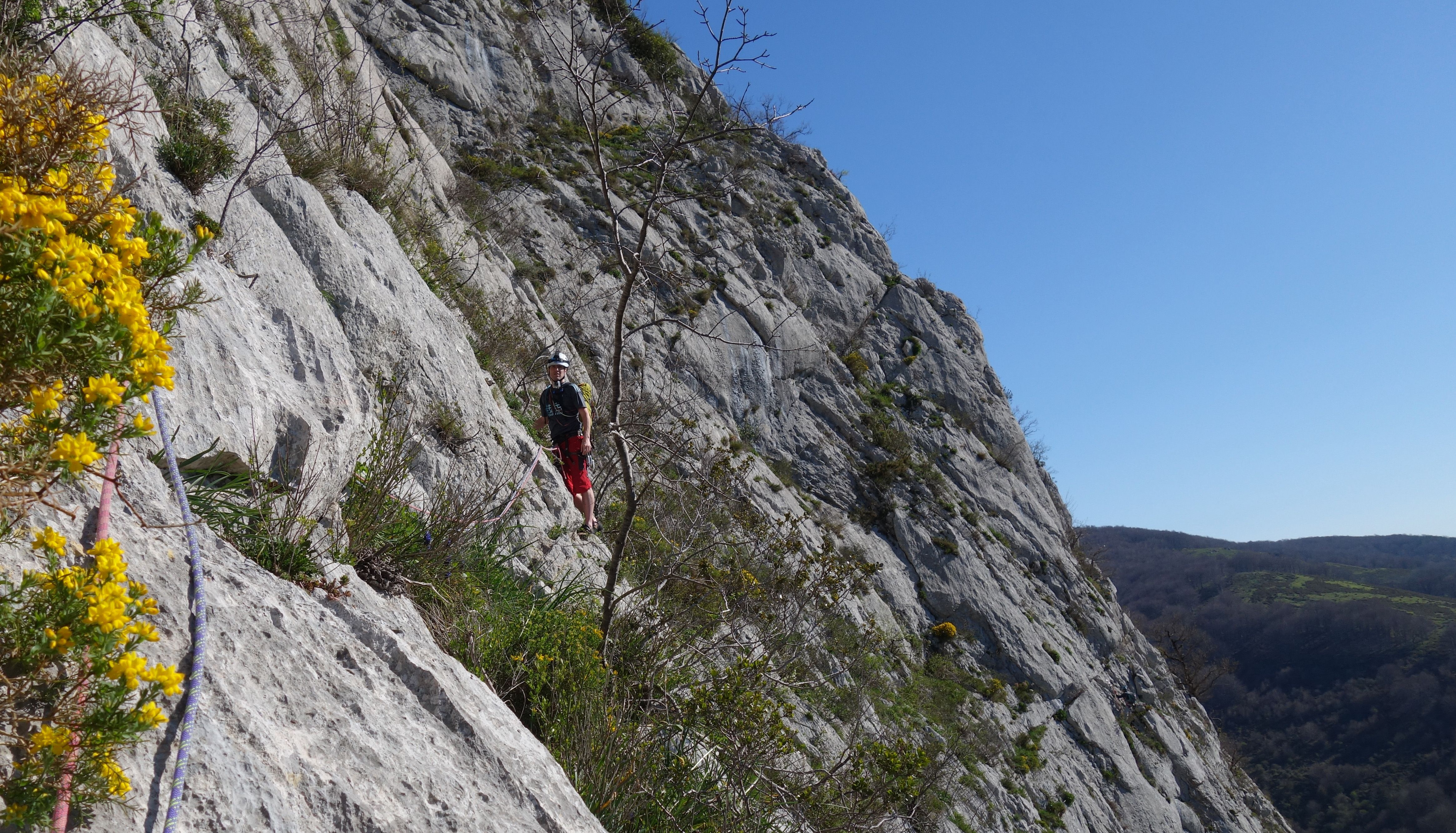 Ziordiko 'Rock Circus' bidea