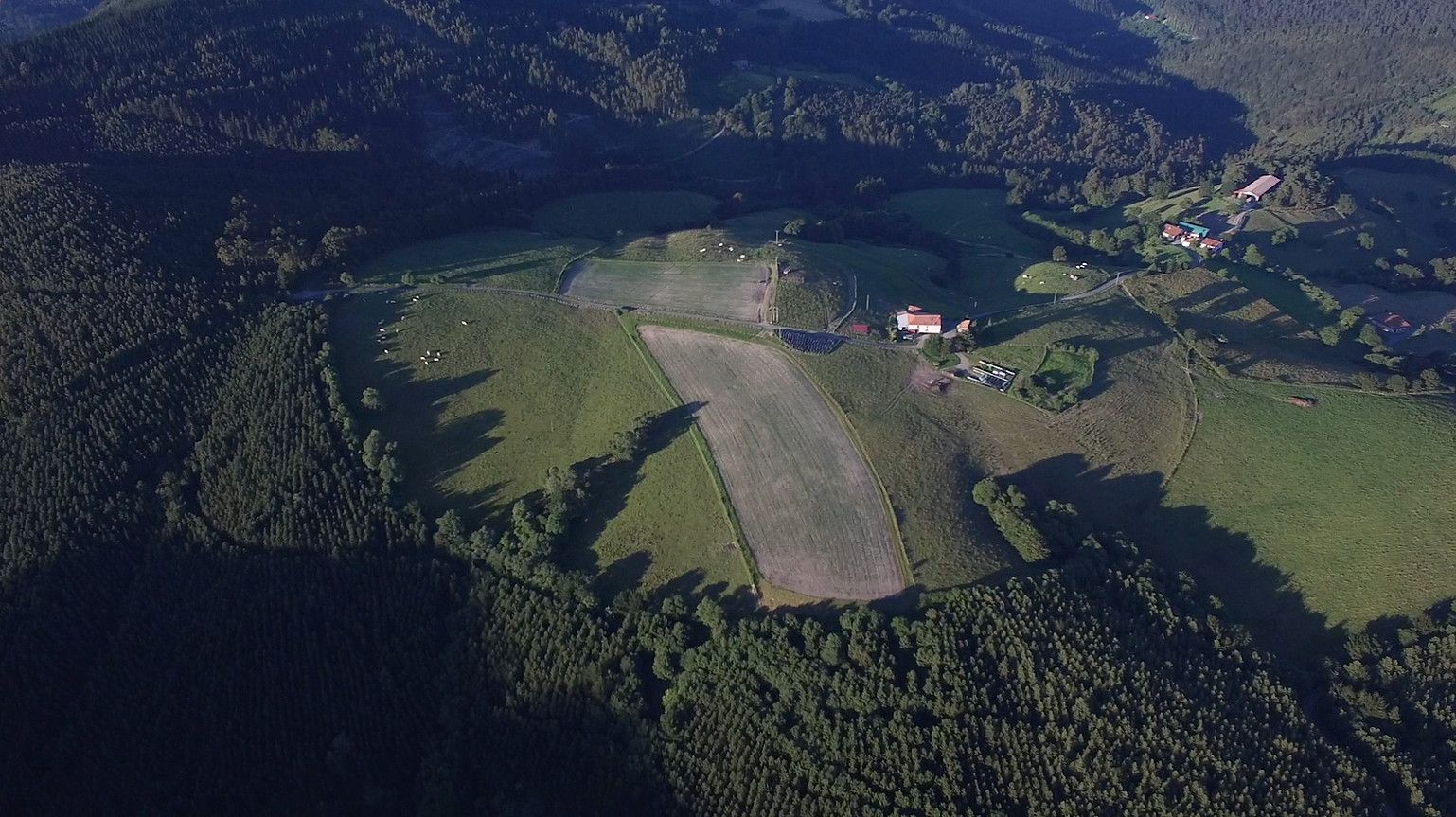 Hernani. Akola mendiaren magalean dagoen saroia ikus daiteke, barruan baserria eta pinudia landatuta. LUIS MARI ZALDUA ETXABE.