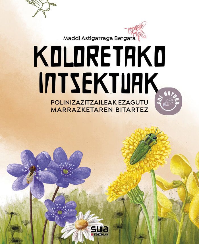 Maddi Astigarraga Bergara / 'Koloretako intsektuak'