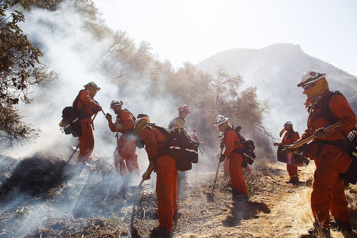 Suhiltzaileak lanean, Los Angelesko West Hill barrutian (Kalifornia). EUGENE GARCIA / EFE. Suhiltzaileak lanean, Los Angelesko West Hill barrutian (Kalifornia). EUGENE GARCIA / EFE.