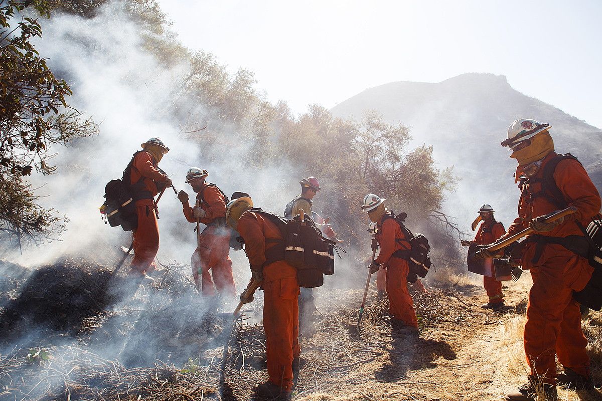 Suhiltzaileak lanean, Los Angelesko West Hill barrutian (Kalifornia). EUGENE GARCIA / EFE.