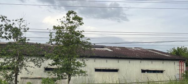 EMI Sur, kanpotik.