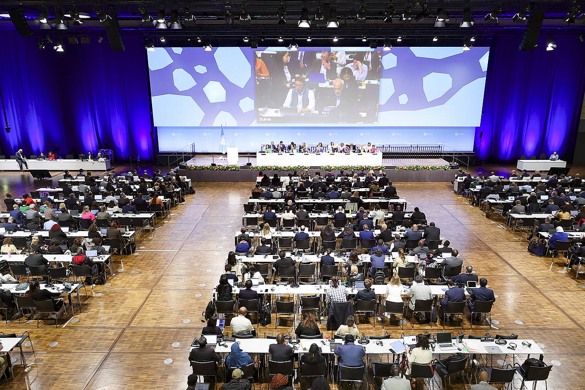 NBEren klima aldaketari buruzko konferentzia, Bonnen.