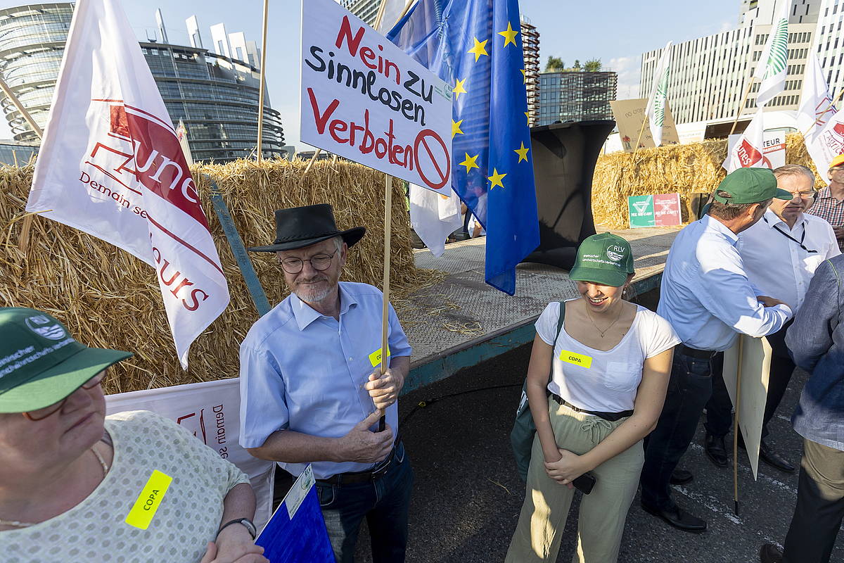 Natura Leheneratzeko Legearen kontrako protestak