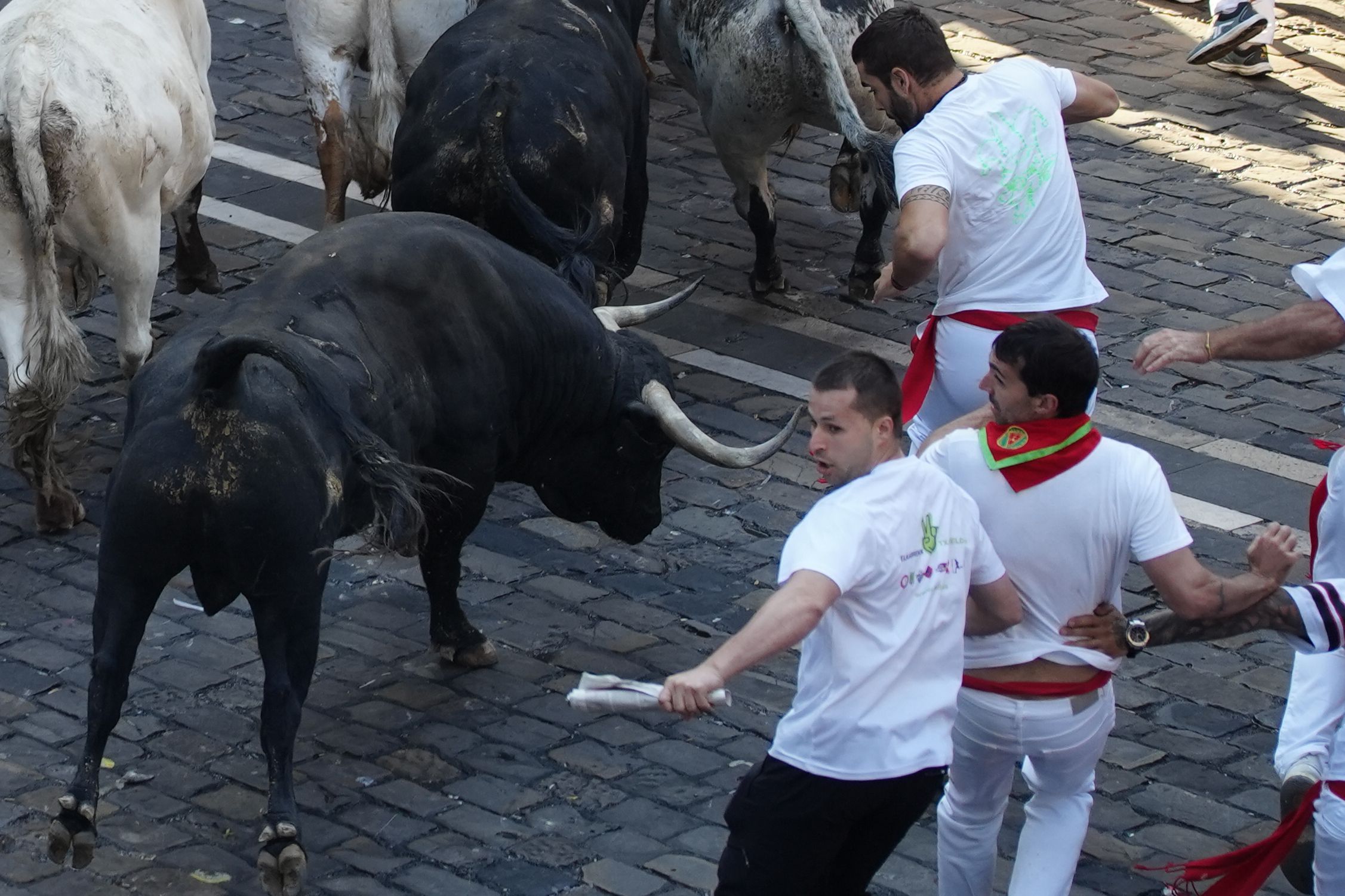 Zezen batek keinu egin du korrikalari bat harrapatzeko. AINHOA TEJERINA / EFE Zezen batek keinu egin du korrikalari bat harrapatzeko. AINHOA TEJERINA / EFE