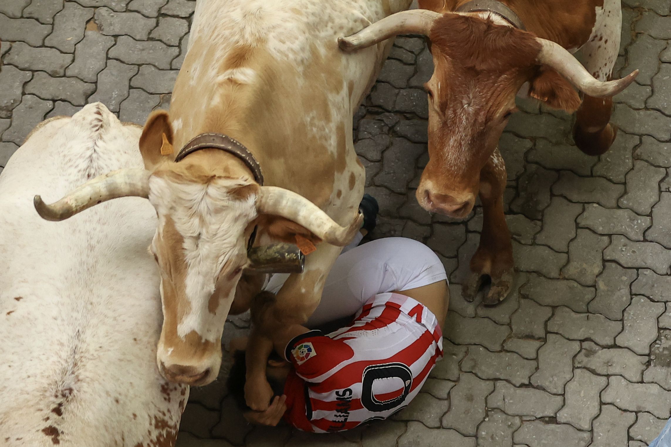 Korrikalari bat lurrean, idiak gainetik pasa zaizkiolarik. IÑIGO URIZ / FOKU