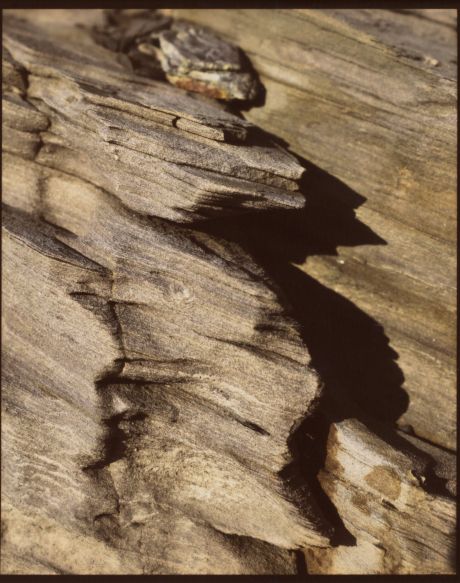 Paper fotografikoan inprimatutako argazki bat. Analogikoki errebelatuta dago, kolore beroak lortzeko. MARTIN DEL BUSTO Paper fotografikoan inprimatutako argazki bat. Analogikoki errebelatuta dago, kolore beroak lortzeko. MARTIN DEL BUSTO