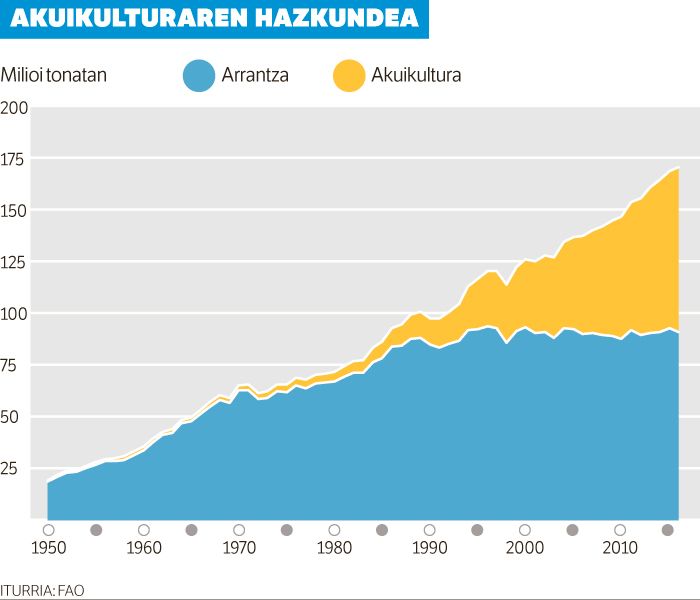 Garagardoak hazitako arrainak.