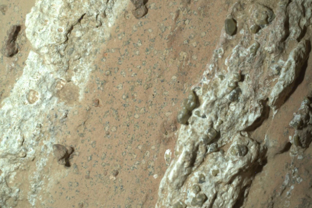 NASA'Cheyava Falls' arrokan aurkitutako leopardo itxurako orbanak. NASA/JPL-CALTECH/MSSS NASA'Cheyava Falls' arrokan aurkitutako leopardo itxurako orbanak. NASA/JPL-CALTECH/MSSS
