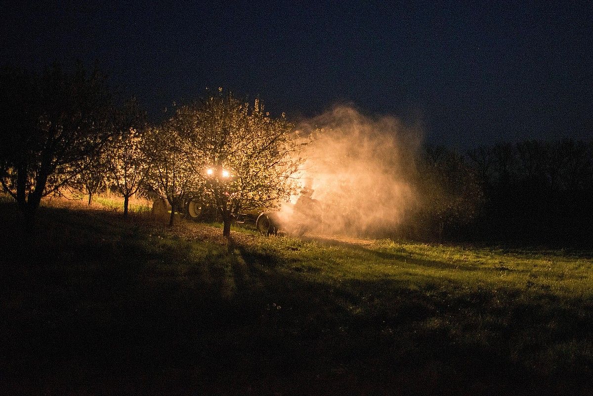 Traktore bat landareetara pestizida botatzen. TAMAS SOKI / EFE.