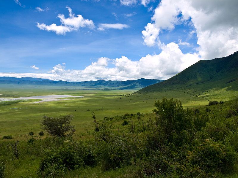 Ngorongoroko parke naturaleko kraterra, Tanzanian. WIKIMEDIA