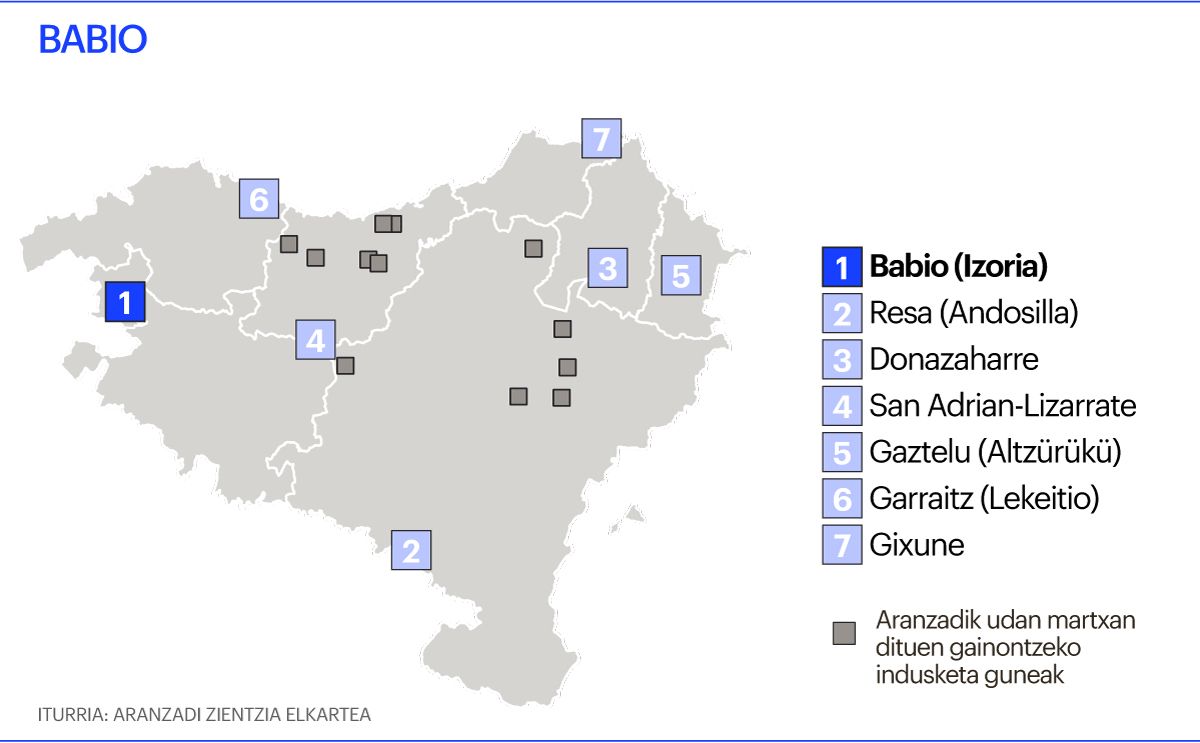 Indusketa mapa, Babio Indusketa mapa, Babio