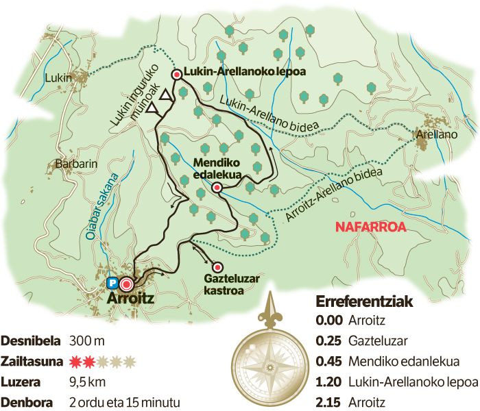 Oliba olioa, urrezko isurkaria. Oliba olioa, urrezko isurkaria.